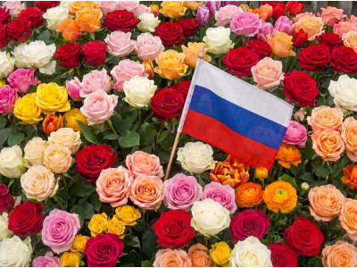 Роза Подмосковная