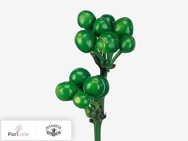 Перец стручковый Green Candy